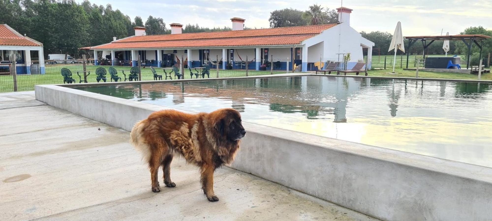 Monte Do Lago, Pegões Εξωτερικό φωτογραφία